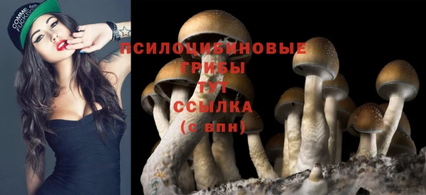 скорость Алексеевка