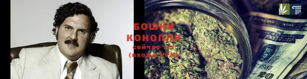 гидропоника Алзамай