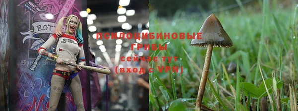 винт Абинск