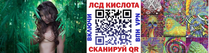 Наркотические марки 1,5мг  Черкесск 