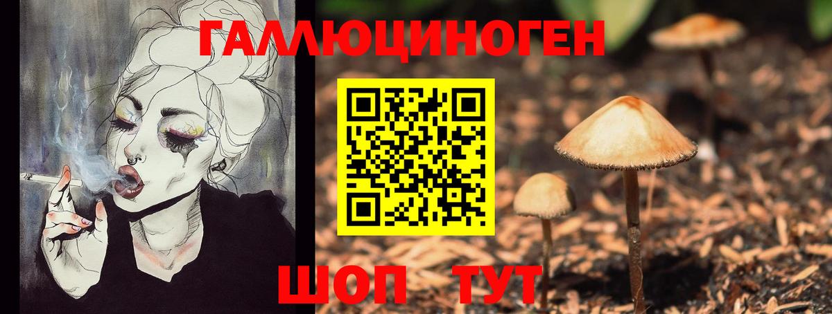 Псилоцибиновые грибы прущие грибы  Вход с VPN  Черкесск 